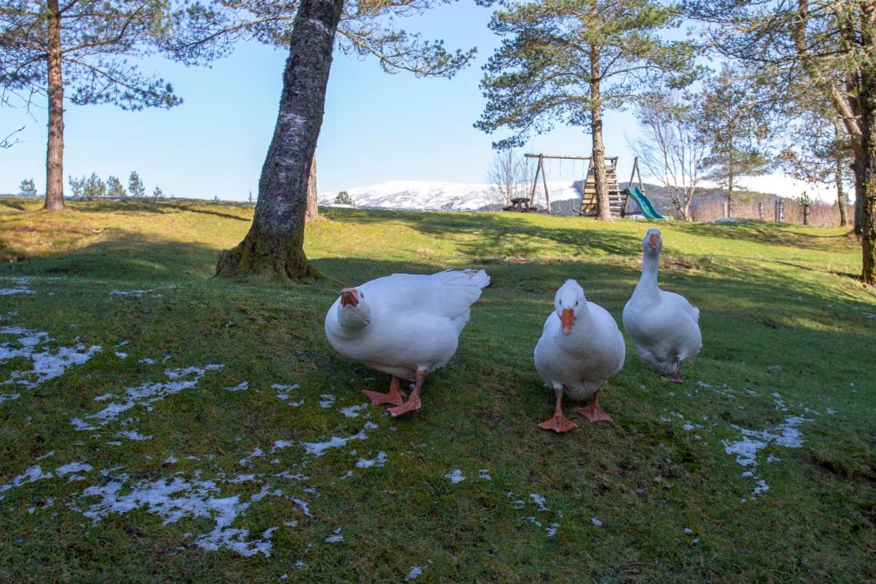 Old Pines Hotel And Restaurant Spean Bridge Bagian luar foto